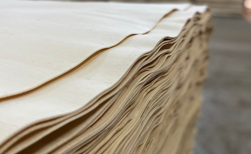Kavak Kaplama (Papel) Üretimi