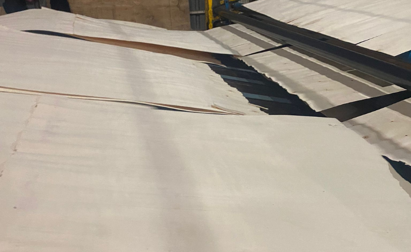 Kavak Kaplama (Papel) Üretimi